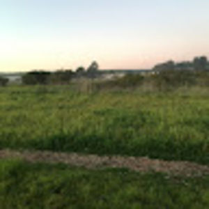 Meet your Posher, Hallie